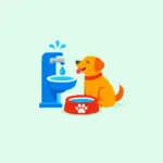 Points d’eau pour chiens près de moi